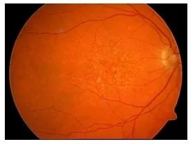 微信圖片_20220129093503.jpg 微信圖片_20220129093503.jpg