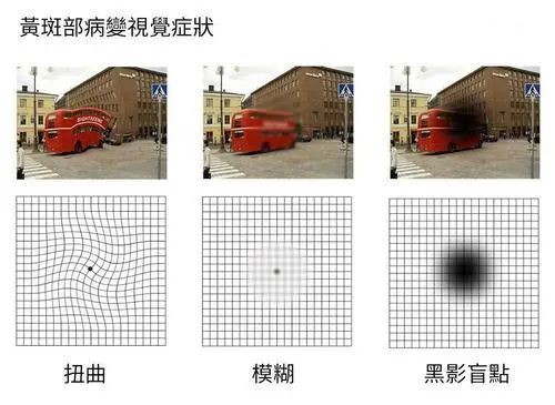 微信圖片_20220129093514.jpg 微信圖片_20220129093514.jpg