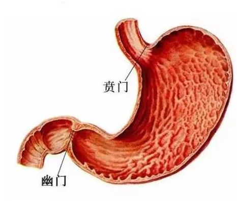 微信圖片_20210608130120.png 微信圖片_20210608130120.png