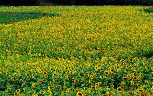 u=3271181516,1493186520&fm=26&gp=0.jpg u=3271181516,1493186520&fm=26&gp=0.jpg