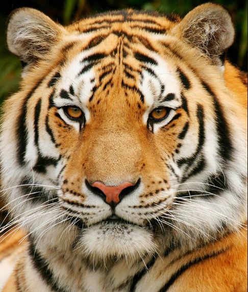 圖片3.png 圖片3.png