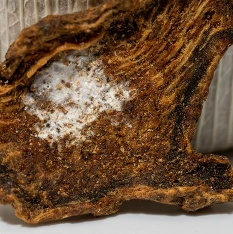 圖片4.png 圖片4.png