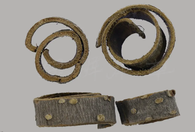 圖片5.png 圖片5.png