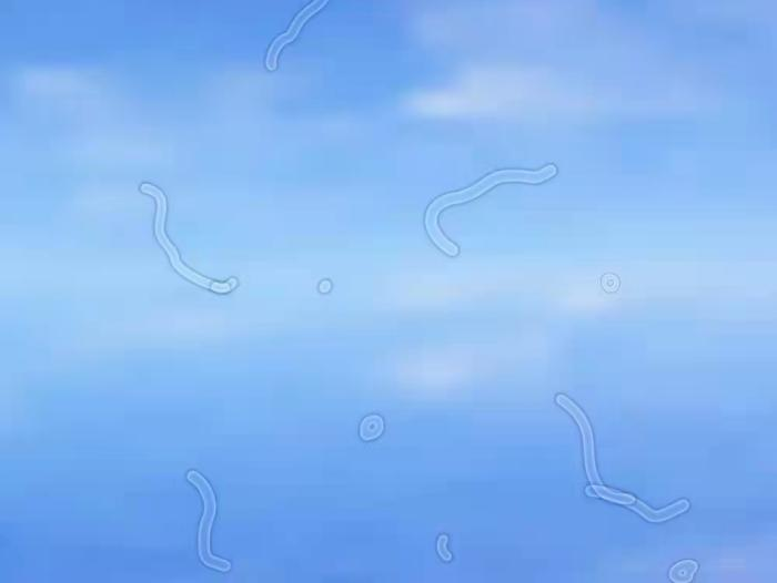 微信圖片_20220221085422.png 微信圖片_20220221085422.png