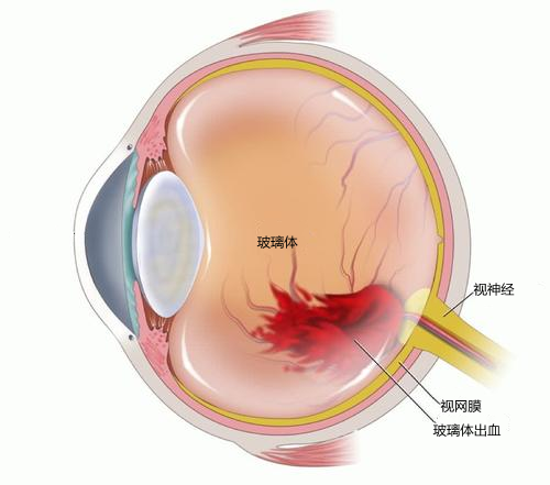 微信圖片_20220221085435.png 微信圖片_20220221085435.png