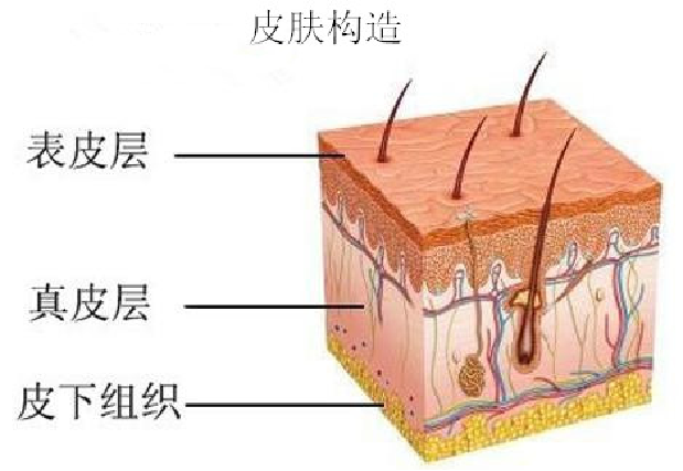 微信圖片_20220228143352.png 微信圖片_20220228143352.png