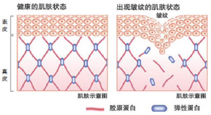 微信圖片_20220228143354.png 微信圖片_20220228143354.png