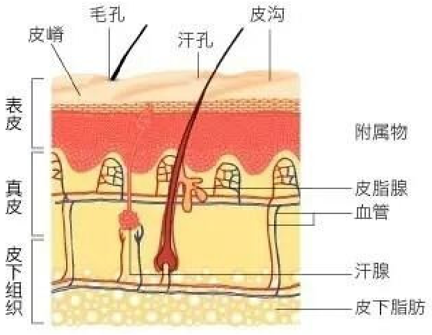 微信圖片_20220228143357.png 微信圖片_20220228143357.png