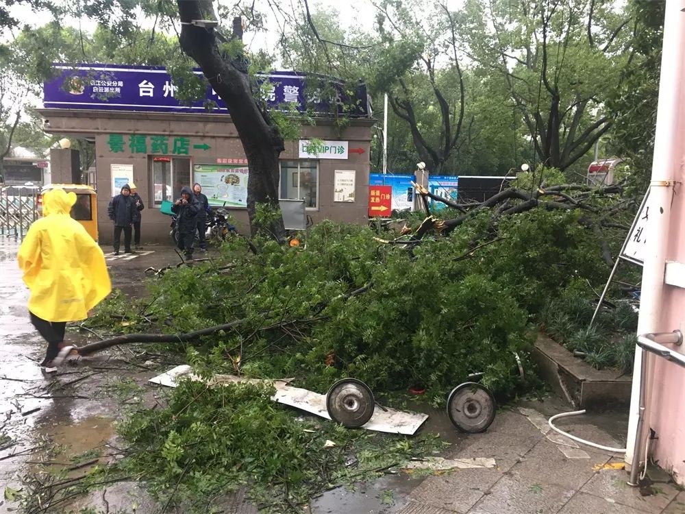 6373395051058034708739499.jpg 6373395051058034708739499.jpg