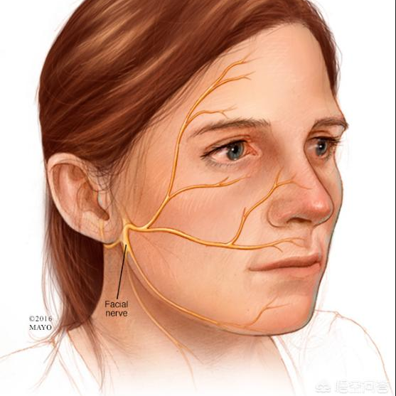 6376738205621225003234012.png 6376738205621225003234012.png