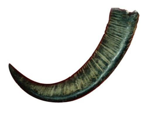 6375953918023012505009541.png 6375953918023012505009541.png