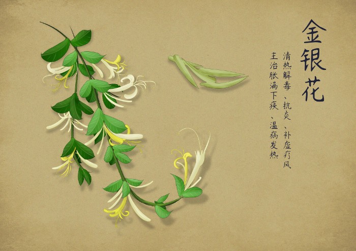 攝圖網(wǎng)_400958272_中藥手繪(非企業(yè)商用).jpg 攝圖網(wǎng)_400958272_中藥手繪(非企業(yè)商用).jpg