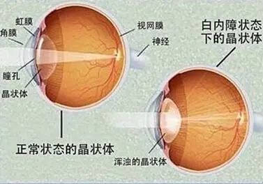 微信圖片_20211203111620.jpg 微信圖片_20211203111620.jpg