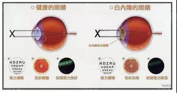 微信圖片_20211203111743.jpg 微信圖片_20211203111743.jpg