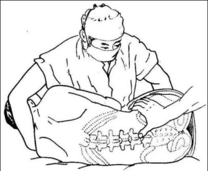 圖片2.jpg 圖片2.jpg