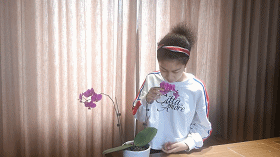 6373792476230037508601824.gif 6373792476230037508601824.gif