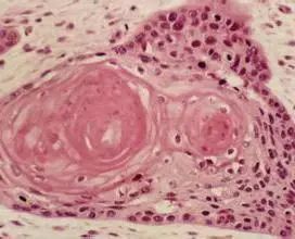 微信圖片_20220214105602.jpg 微信圖片_20220214105602.jpg