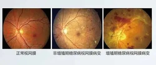 微信圖片_20220214104555.jpg 微信圖片_20220214104555.jpg