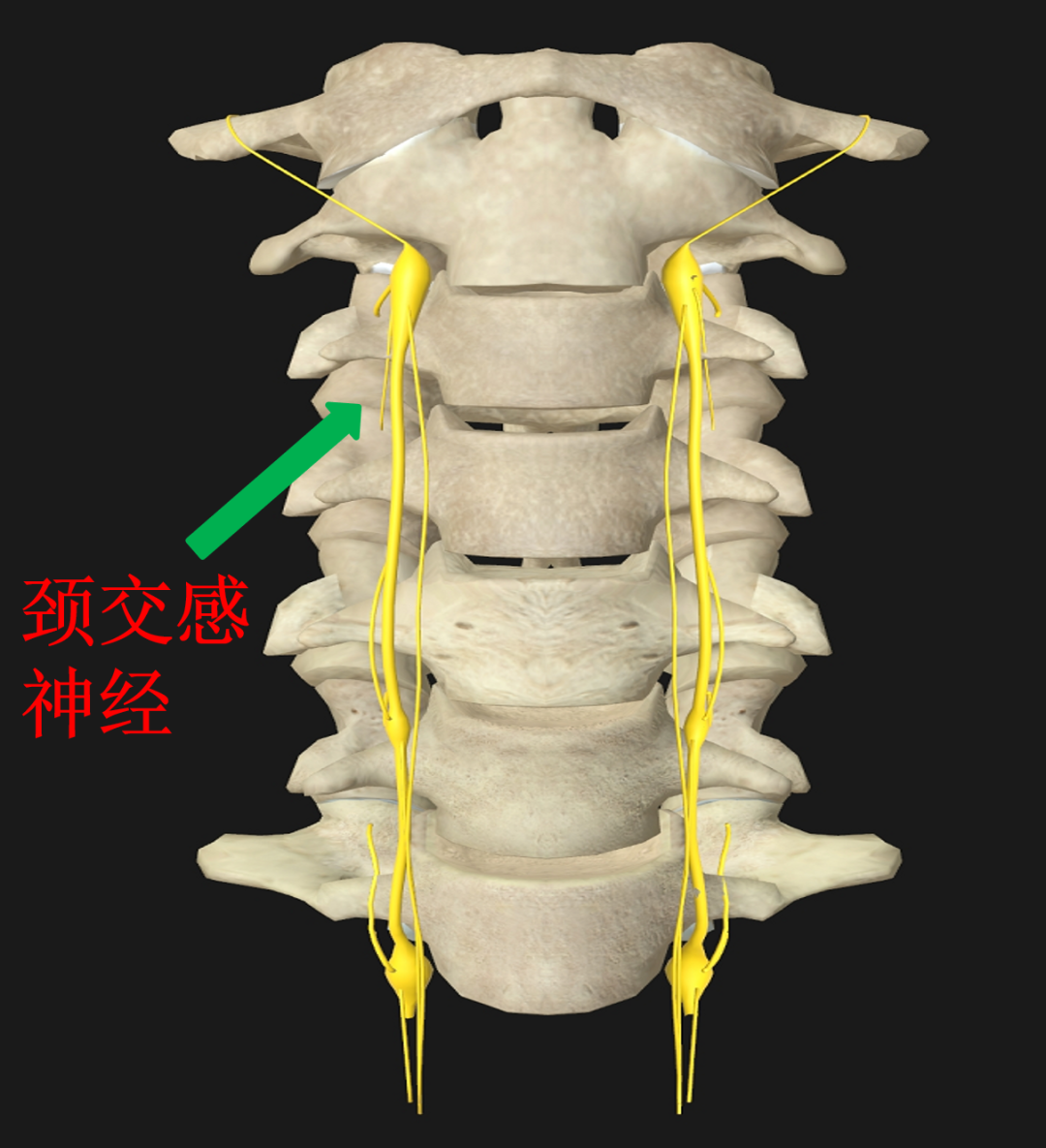 微信圖片_20210524144104.png 微信圖片_20210524144104.png