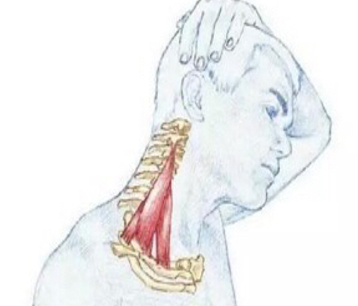 微信圖片_20210524144118.png 微信圖片_20210524144118.png