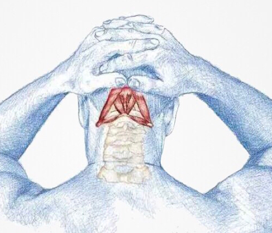 微信圖片_20210524144121.png 微信圖片_20210524144121.png