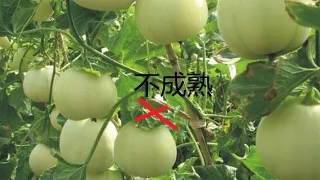 微信圖片_20210608141930.jpg 微信圖片_20210608141930.jpg