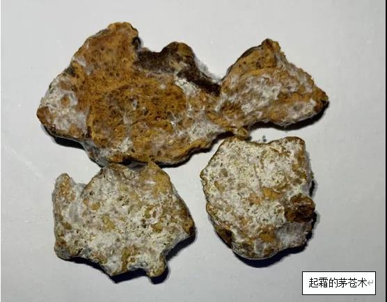 圖片1.jpg 圖片1.jpg