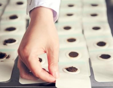 圖片4.png 圖片4.png