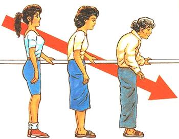 圖232片1.jpg 圖232片1.jpg