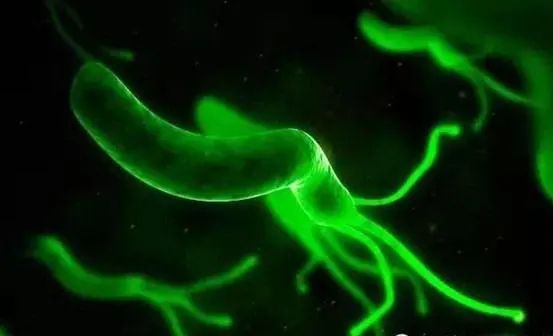 微信圖片_20220609082557.jpg 微信圖片_20220609082557.jpg