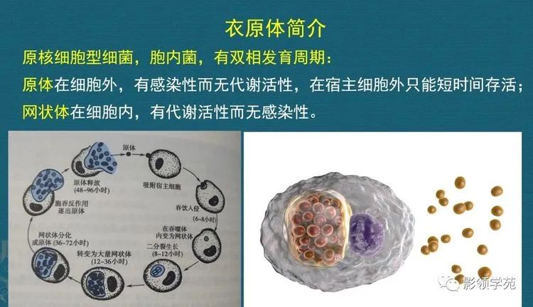 微信圖片_20220117100756.jpg 微信圖片_20220117100756.jpg