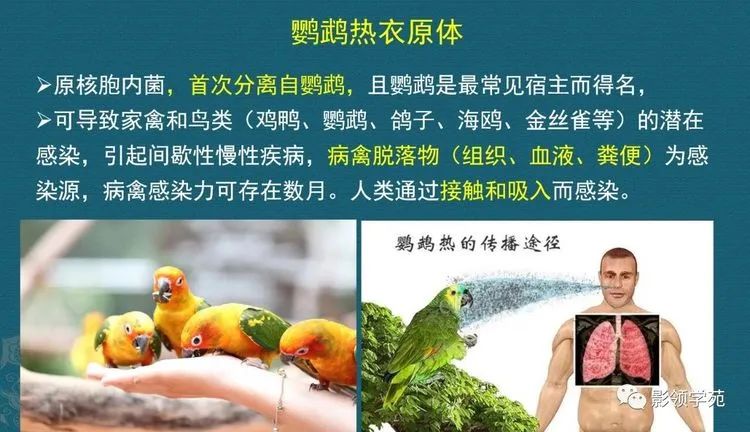 微信圖片_20220117101011.jpg 微信圖片_20220117101011.jpg