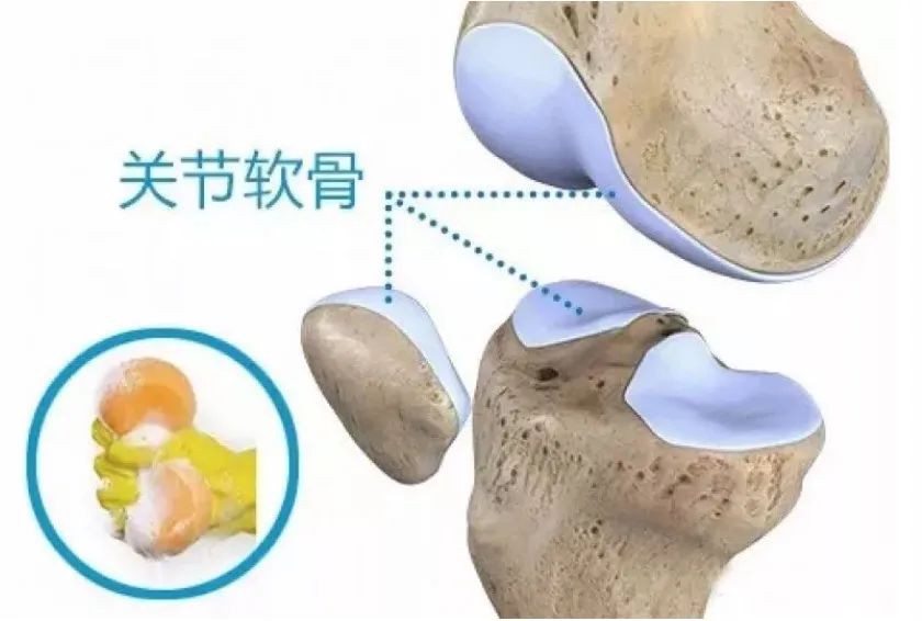 微信圖片_20211105085453.jpg 微信圖片_20211105085453.jpg