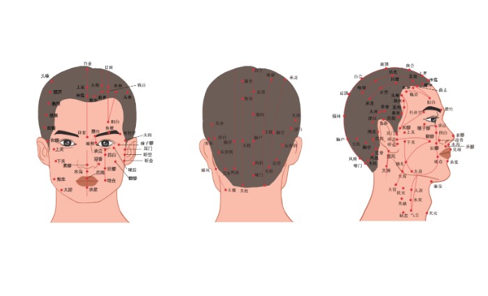攝圖網(wǎng)_401802088_人體頭部經(jīng)絡(luò)穴位圖（非企業(yè)商用）.jpg
