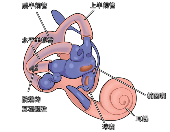 圖片 1.png 圖片 1.png